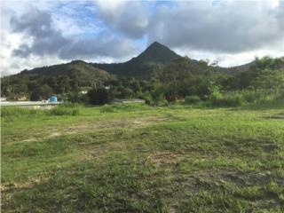 Bo Jagual San Lorenzo Barrio Jagual San Lorenzo Puerto Rico