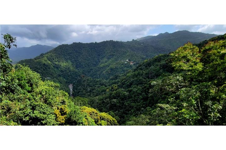 Capaez Puerto Rico Venta Bienes Raíces Adjuntas Puerto Rico Real