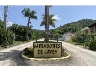 Puerto Rico - Bienes Raices VentaSolar en Miradores de Cayey 1,620 mts  Puerto Rico