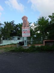 Barrio Los Frailes   Puerto Rico