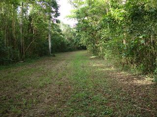 Puerto Rico, Venta Bienes Raices Isabela Puerto Rico, Real Estate for