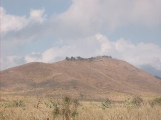 rancho guayama  Puerto Rico