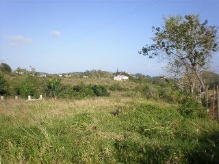 BO. PLANAS  Puerto Rico