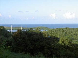 Lindo Monte  Puerto Rico