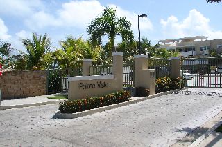 Palma Vista  Puerto Rico