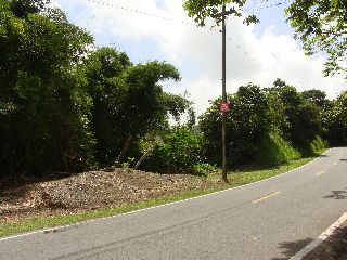  Puerto Rico