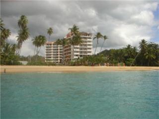 Puerto Rico Real Estate for Rent in Rinc�n