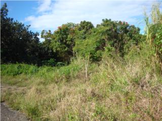  Puerto Rico