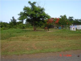  Puerto Rico