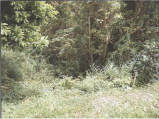  Puerto Rico