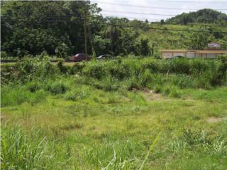  Puerto Rico