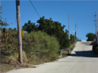 Combate Puerto Rico