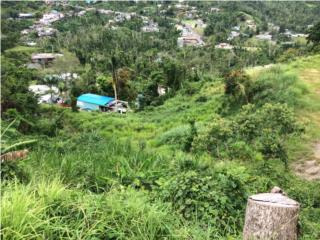 Puerto Rico - Bienes Raices VentaSolar  en DajaosR-ebajado Puerto Rico