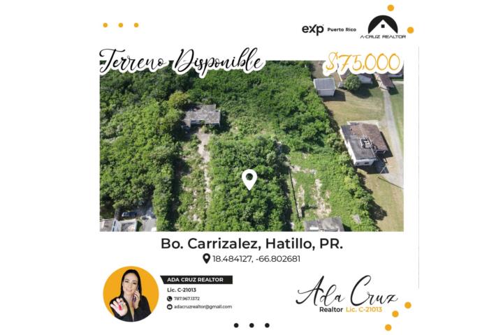 Carrizales Puerto Rico Venta Bienes Ra Ces Hatillo Puerto Rico Real