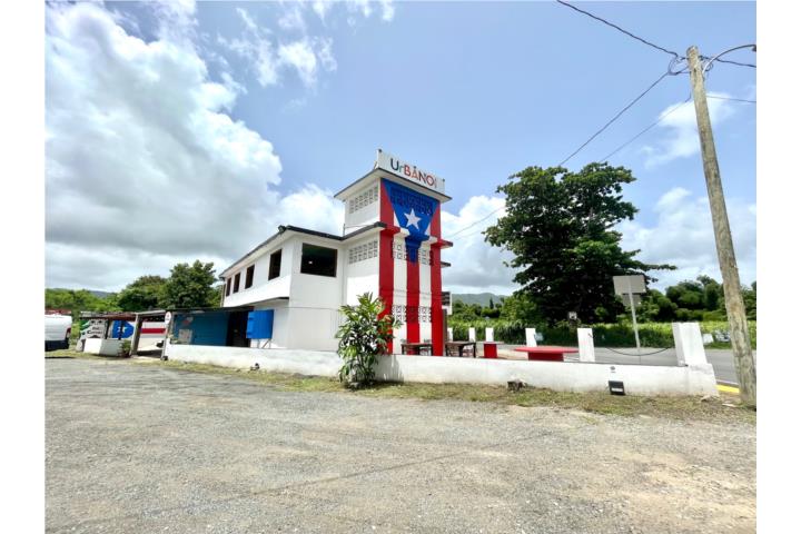 Mamey Puerto Rico Venta Bienes Ra Ces Juncos Puerto Rico Real Estate