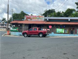 Puerto Rico - Bienes Raices VentaLechonera ubicada en  Palmarejo, Corozal Puerto Rico