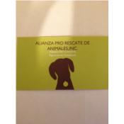 Alianza Pro Rescate  Animales Puerto Rico