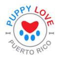 Puppy Love Puerto Rico