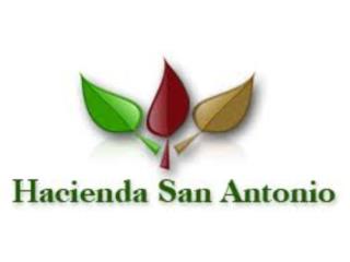 Bienes raices puerto rico real estate