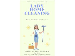 Lady Home Cleaning Puerto Rico Navarro & Assocs LLC