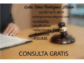 Abogada de Familia y Notario(CONSULTA GRATIS) Puerto Rico Abogado (consulta gratis) Edna Rodriguez Marin