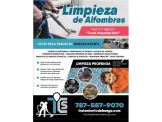 LIMPIEZA DE MUEBLES Y ALFOMBRAS Puerto Rico TRINIDAD CONTRACTOR SERVICES