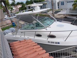 Boats Wellcraft coastal 27 Puerto Rico