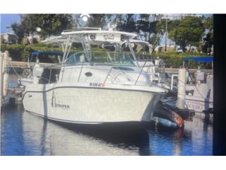 Boats Striper 2004 Puerto Rico