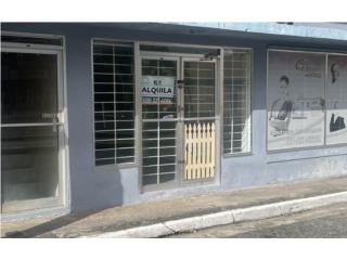 Alquiler Barrio Pueblo Humacao Local- Calle Font Martelo- Humacao- $600.00 Humacao