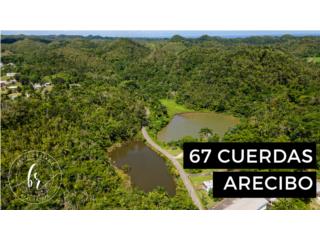 67 cuerdas de terreno, Arecibo 