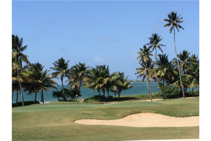Bahia Beach Resort and Golf Puerto Rico