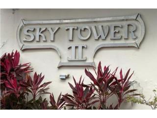 SKY TOWER II (PENTHOUSE)