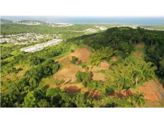 5 ACRES WITH PANORAMIC VIEW FOR HOSPITALITY 
