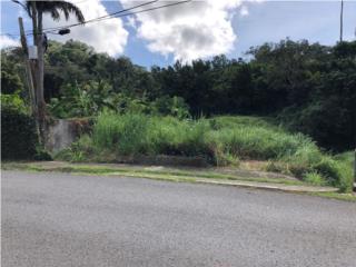 Ideal para la Agroecologa Finca Orgnica