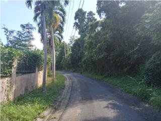 Quebrada Fajardo, Sector Los Chico 13.5 cuerd
