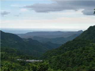 La Lapa Puerto Rico