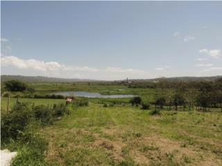 Finca con Vista al Coloso