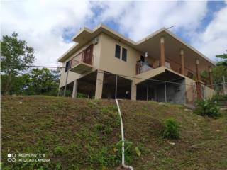 Bo. Limn Utuado Finca con casa de 3 cuartos