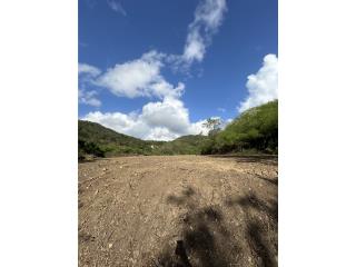 Terreno En Ceiba por Tasacin 
