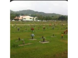 Lote  Cementerio Borinquen Memorial en Caguas