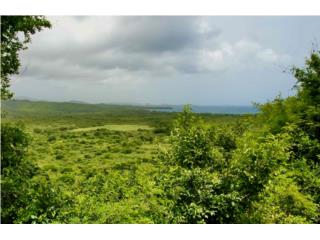 Lindo Monte Puerto Rico