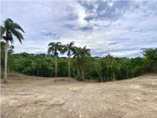 Hacienda del Dorado Puerto Rico