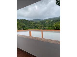 Bo.Guavate Carr184  Cayey,P.R. 00736