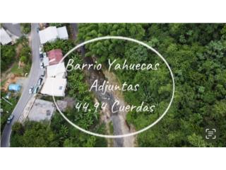 Venta 44 cuerdas | Ojo de Agua | Adjuntas 