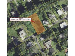 Urb. Colinas del Yunque, Solar de 1,525 m2 