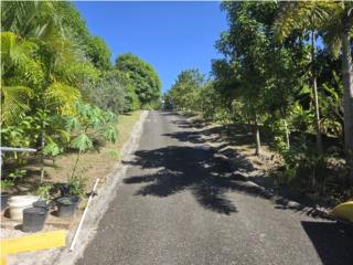 COAMO, BO. PASTO SEC SAN DIEGO