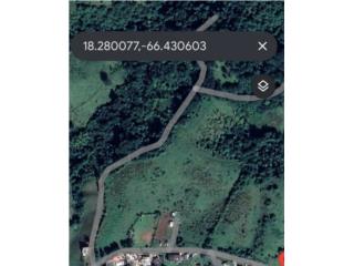 7 cuerdas llanas en Barrio Pasto, Morovis