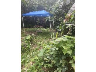 Riverside 1 Acre Lot Terreno