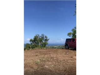 ??Curvas de Rincn - 50% Financianc. Privado Bienes Raices Puerto Rico