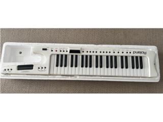 Roland AX7 Keytar Blanco, Puerto Rico